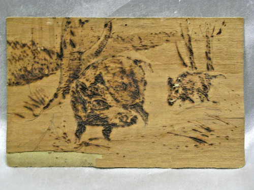 Cpa plaque en bois - plaque,
