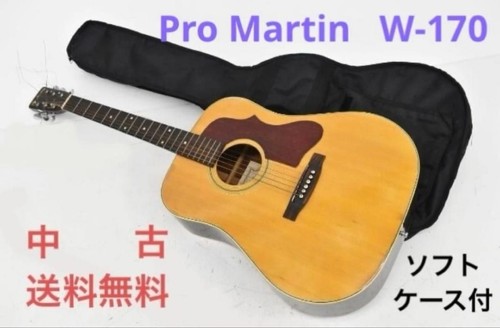 Guitare acoustique pro martin - pro,