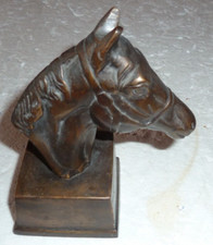 superb horse head wearing a
