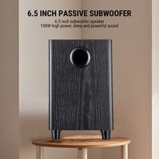 100W Home Subwoofer 6.5 Inch