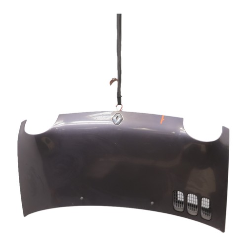 Capot renault twingo - capot,