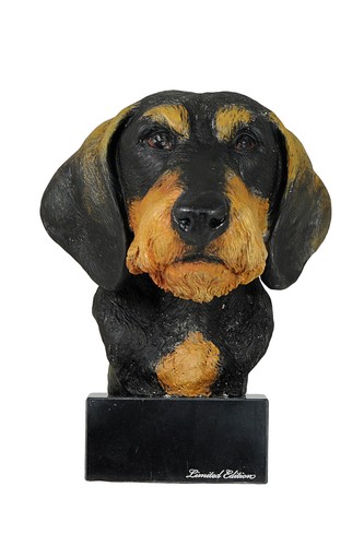 Teckel poil dur statuette - à,
