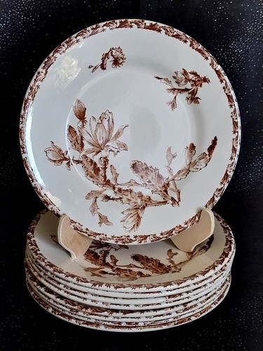 Porcelaine opaque - opaque, de