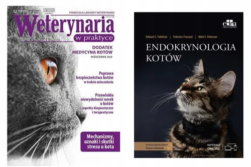 Endokrynologia kotów esteri - kotów,