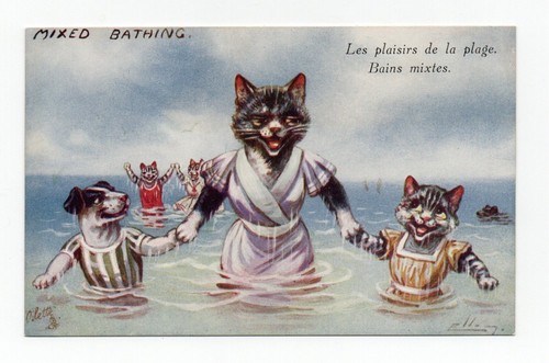 Ellam chats chien à - ellam, la