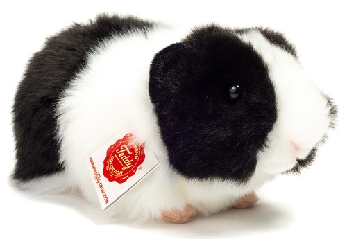 Noir blanc cochon inde - et, d'inde