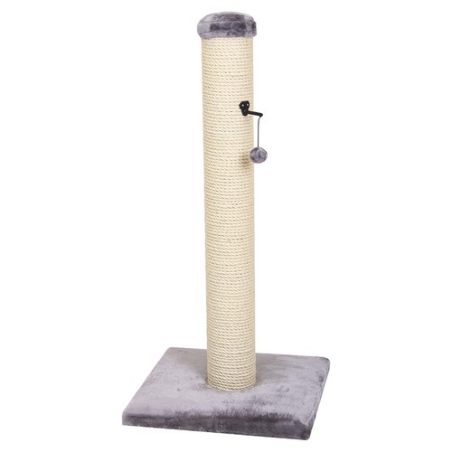Europet bernina arbre - arbre, chat