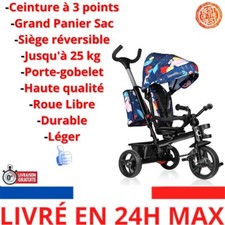 Lionelo Haari Tricycle bébé évolutif jusqu'à 25 kg, vélo de Marche vélo pour Les
