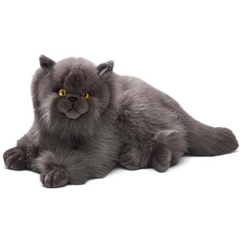 Carl dick chat persan - dick, gris