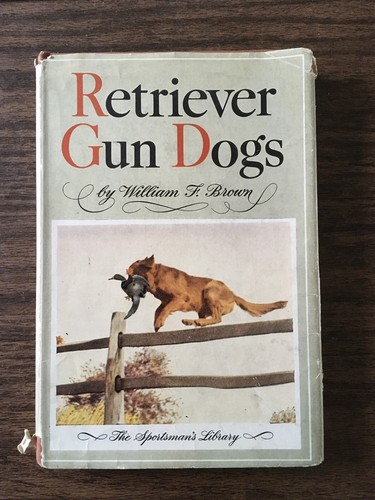 Retriever gun dogs - retriever, william