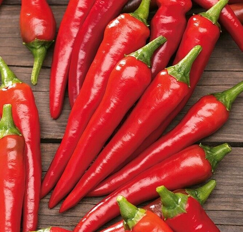 Graines piment de - graines,