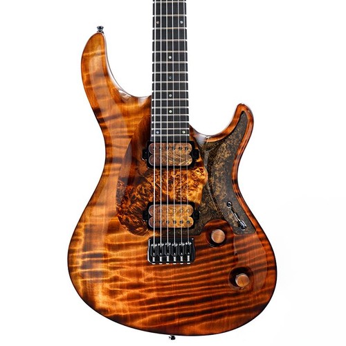 Mayones regius core - regius, 6