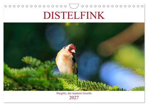 Calendrier 2027 french - calendrier,