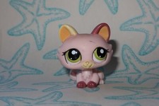 LPS Petshop Chat Sphynx