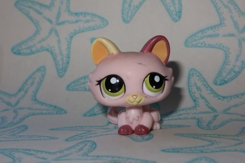 Lps petshop chat sphynx - petshop,