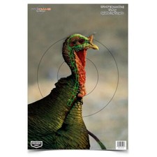Birchwood Casey Pregame Turkey Papier Objectifs 30.5cmx45.7cm 8-Pack Multicolore