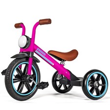 Kids Tricycle, 12 Inch