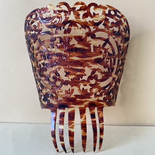 Grand peigne cheveux pour - grand,