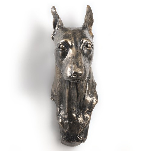 Pinscher nain tête pendante