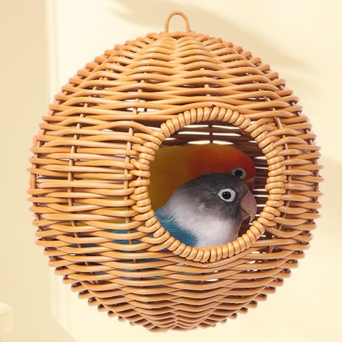 Hamac oiseaux nid - à, oiseaux,