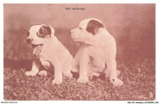 AZLP2-0168-ANIMAUX - Oh