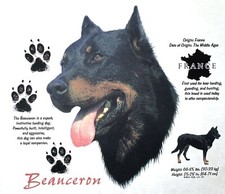 Beauceron Dog Breed T Shirt Dog History New T-Shirts Free Shipping