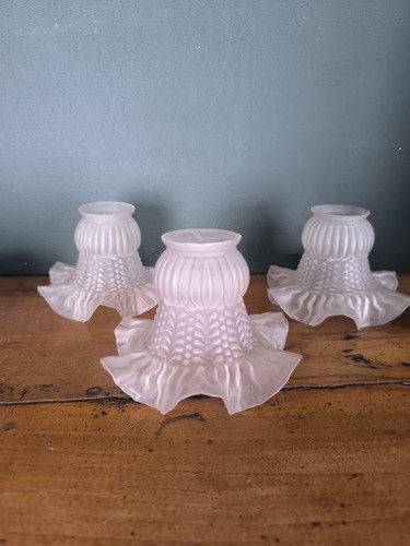 Lot tulipes pour lustre - tulipes,