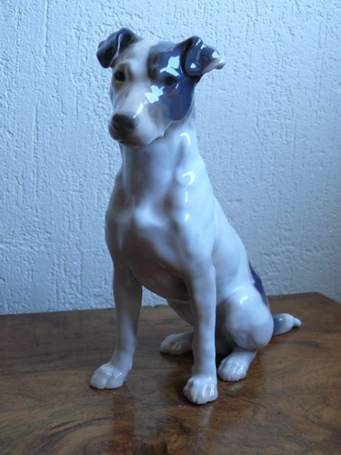 Superbe chien chasse - superbe, de