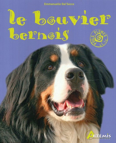 Bouvier bernois - bernois, /