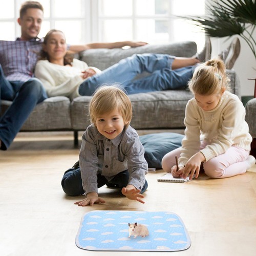 Pcs tapis cage - 6,
