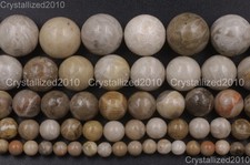 Perles d'entretoise rondes en pierre précieuse fossile corail naturel 4 mm 6 ...