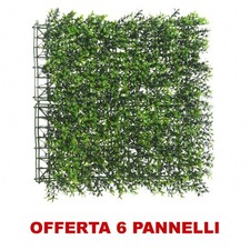 Offre 6 Panneau Haie