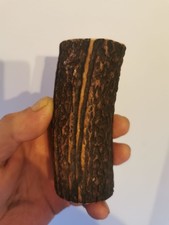 314. Corne de cerf rouge