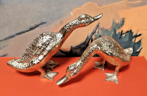 Superbe paire canards - superbe, de