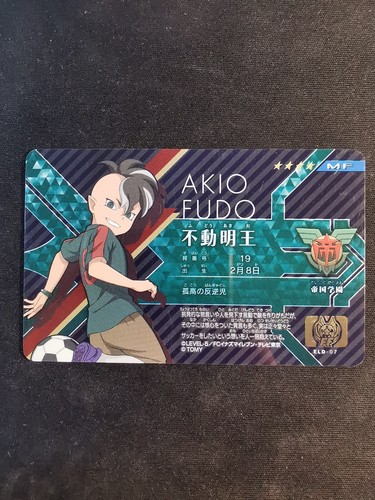 Akio fudo eld carte - fudo, inazuma