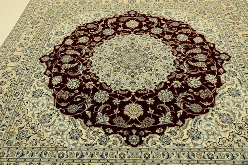 Magnifique tapis oriental - magnifique,