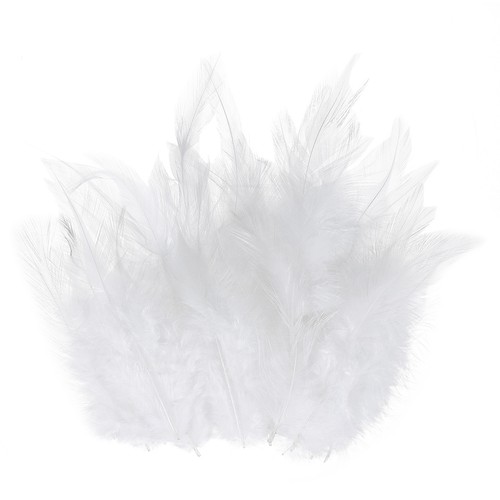 300 plumes blanches naturelles