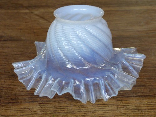 Ancienne tulipe opalescente - ancienne,
