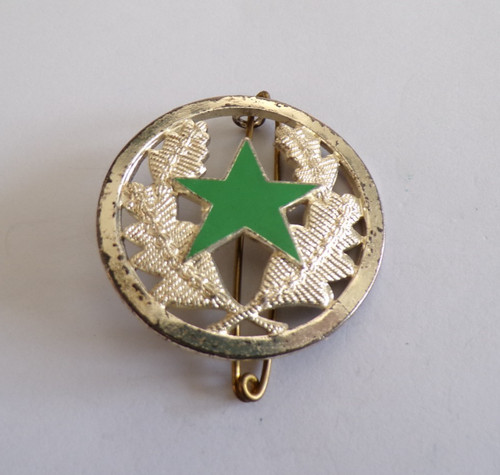 Insigne militaire beret - militaire,