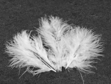 20 Plumes naturelles décorative blanches 7 à 8 cm environ