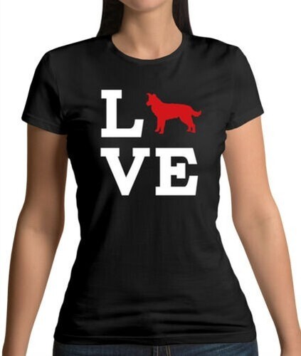 Amour border collie - amour, chien