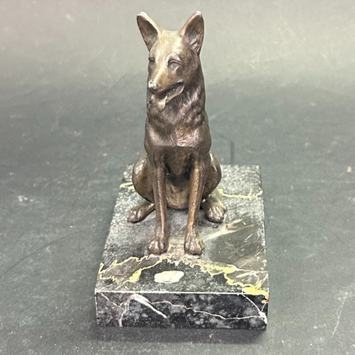 German shepherd rule on - in,