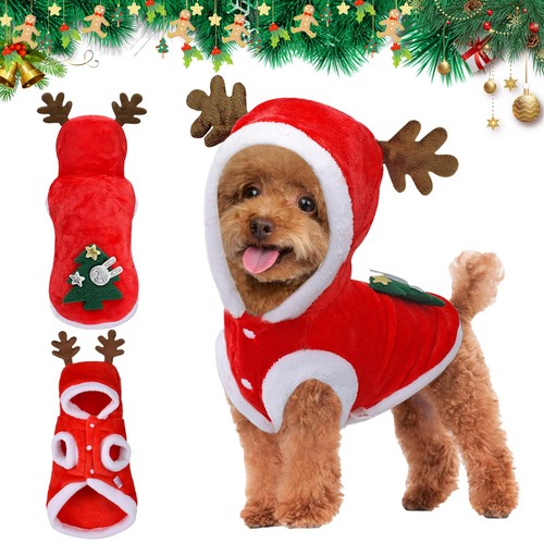 Costume noël pour animaux - costume,