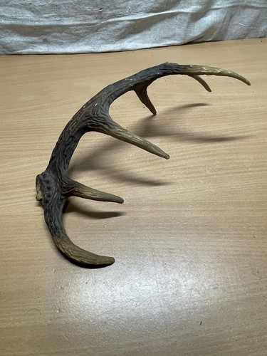 Corne cerfs plastique - cerfs,