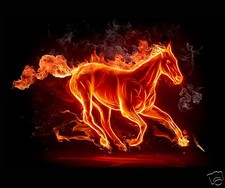 TAPIS DE SOURIS CHEVAL CHEVAUX   réf 303 avec texte au choix