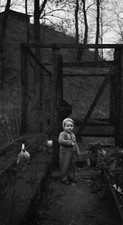 Child portrait chicken coop - antique photo negative year. 1940 50