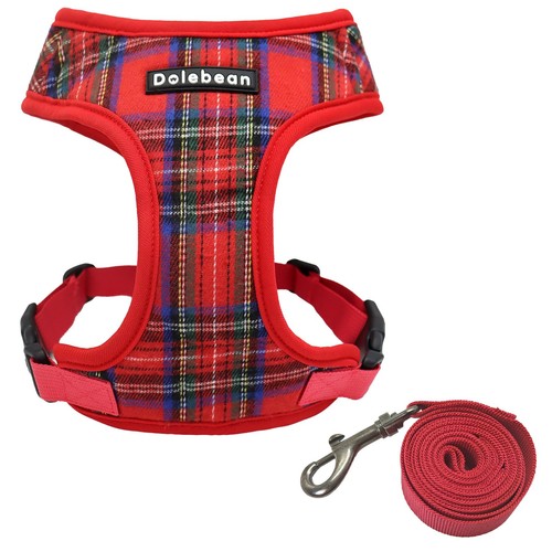 Harnais pour petits chiens - ,