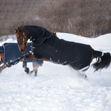 Horseware Amigo Super Bravo