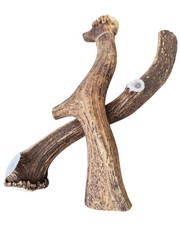 Bois de cerf 4XL Entier Chien