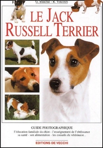 Jack russel terrier g - jack,